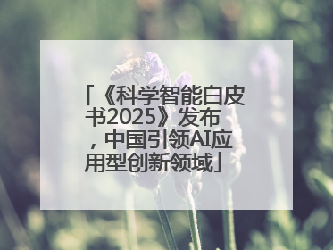 《科学智能白皮书2025》发布，中国引领AI应用型创新领域