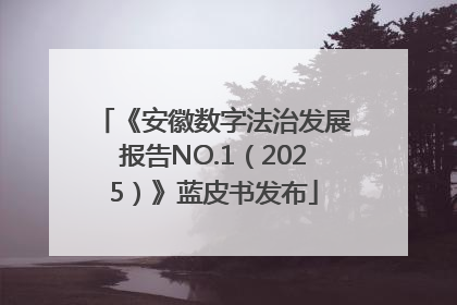 《安徽数字法治发展报告NO.1（2025）》蓝皮书发布