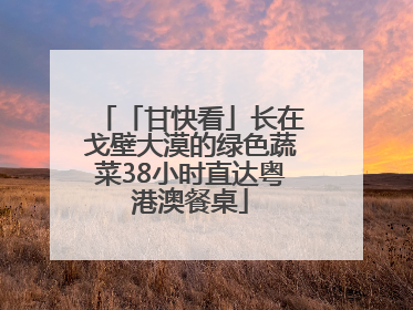 「甘快看」长在戈壁大漠的绿色蔬菜38小时直达粤港澳餐桌