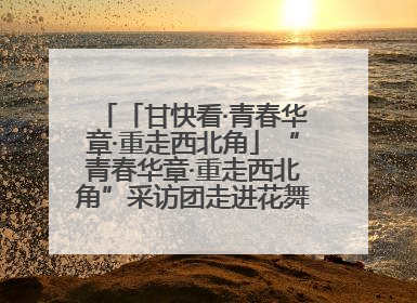 「甘快看·青春华章·重走西北角」“青春华章·重走西北角”采访团走进花舞南山 探寻天水乡村振兴之路