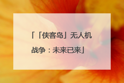 「侠客岛」无人机战争：未来已来