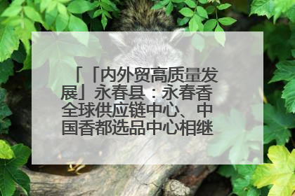 「内外贸高质量发展」永春县：永春香全球供应链中心、中国香都选品中心相继运营——一根香“点燃”百亿产业