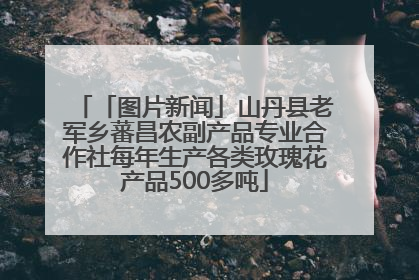 「图片新闻」山丹县老军乡蕃昌农副产品专业合作社每年生产各类玫瑰花产品500多吨