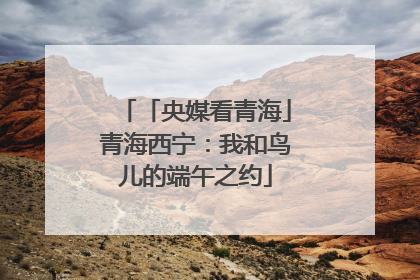 「央媒看青海」青海西宁：我和鸟儿的端午之约