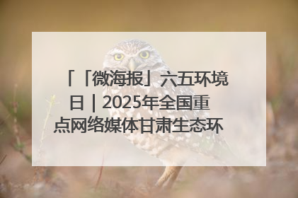 「微海报」六五环境日｜2025年全国重点网络媒体甘肃生态环保行走进凉州区