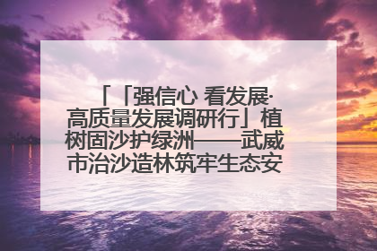 「强信心 看发展·高质量发展调研行」植树固沙护绿洲——武威市治沙造林筑牢生态安全屏障见闻