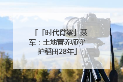 「时代脊梁」聂军：土地营养师守护稻田28年