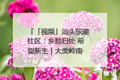 「视频」汕头东湖社区：乡愁归处 希望新生｜大美岭南·百村焕新记
