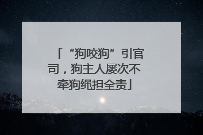 “狗咬狗”引官司，狗主人屡次不牵狗绳担全责