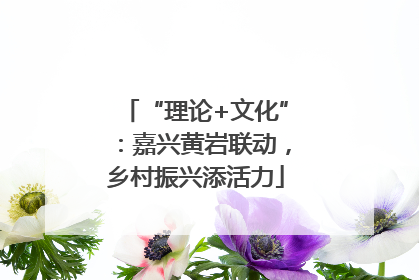 “理论+文化”：嘉兴黄岩联动，乡村振兴添活力