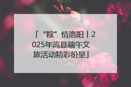 “粽”情洛阳丨2025年嵩县端午文旅活动精彩纷呈