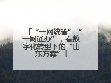 “一网统管”“一网通办”，看数字化转型下的“山东方案”