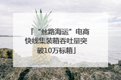 “丝路海运”电商快线集装箱吞吐量突破10万标箱