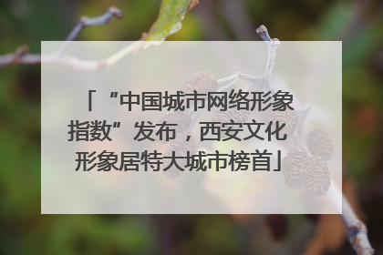 “中国城市网络形象指数”发布，西安文化形象居特大城市榜首