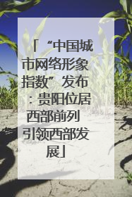 “中国城市网络形象指数”发布：贵阳位居西部前列 引领西部发展