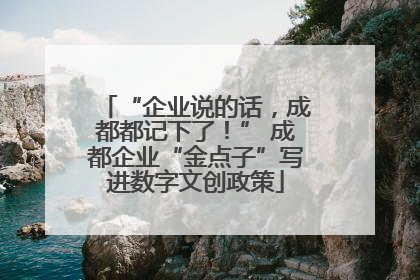 “企业说的话，成都都记下了！” 成都企业“金点子”写进数字文创政策