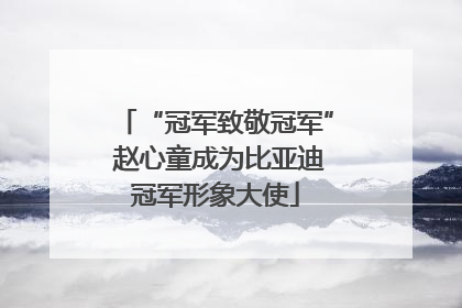 “冠军致敬冠军” 赵心童成为比亚迪冠军形象大使