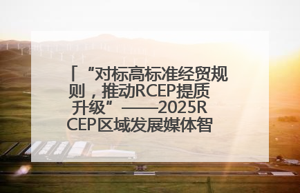 “对标高标准经贸规则，推动RCEP提质升级”——2025RCEP区域发展媒体智库论坛举行专题对话