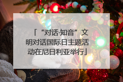 “对话·知音”文明对话国际日主题活动在尼日利亚举行