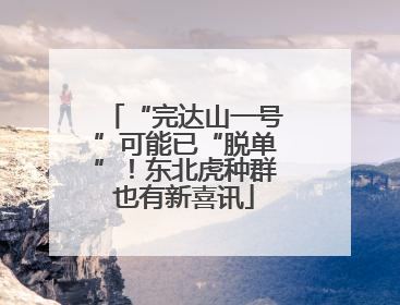 “完达山一号”可能已“脱单”！东北虎种群也有新喜讯