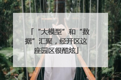 “大模型”和“数据”汇聚，经开区这座园区很酷炫