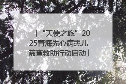 “天使之旅”2025青海先心病患儿筛查救助行动启动