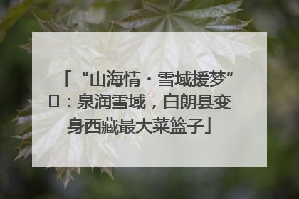 “山海情・雪域援梦”⑪：泉润雪域，白朗县变身西藏最大菜篮子
