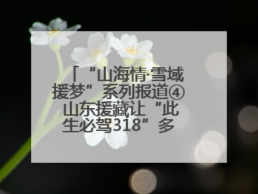 “山海情·雪域援梦”系列报道④ 山东援藏让“此生必驾318”多了N个理由