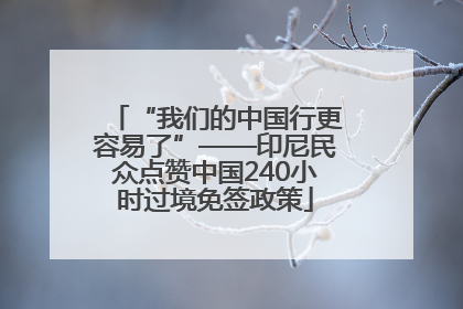 “我们的中国行更容易了”——印尼民众点赞中国240小时过境免签政策