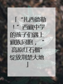 “扎西德勒！”西藏中学的孩子们遇上藏族同胞，“高原红石榴”绽放荆楚大地