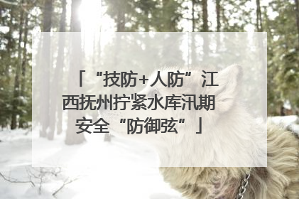 “技防+人防”江西抚州拧紧水库汛期安全“防御弦”