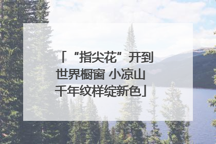 “指尖花”开到世界橱窗 小凉山千年纹样绽新色