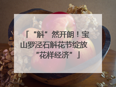 “斛”然开朗！宝山罗泾石斛花节绽放“花样经济”
