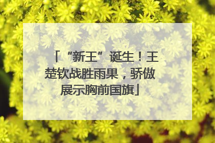 “新王”诞生！王楚钦战胜雨果，骄傲展示胸前国旗