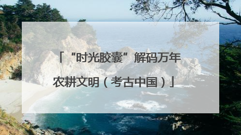“时光胶囊”解码万年农耕文明（考古中国）