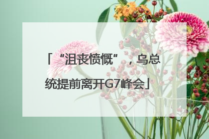 “沮丧愤慨”，乌总统提前离开G7峰会