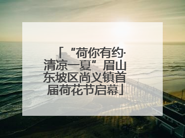 “荷你有约·清凉一夏”眉山东坡区尚义镇首届荷花节启幕