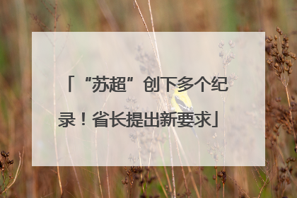 “苏超”创下多个纪录！省长提出新要求