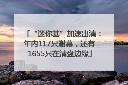 “迷你基”加速出清：年内117只谢幕，还有1655只在清盘边缘
