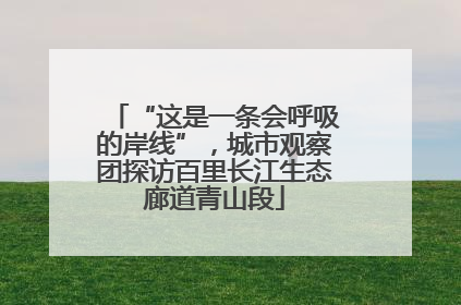 “这是一条会呼吸的岸线”，城市观察团探访百里长江生态廊道青山段