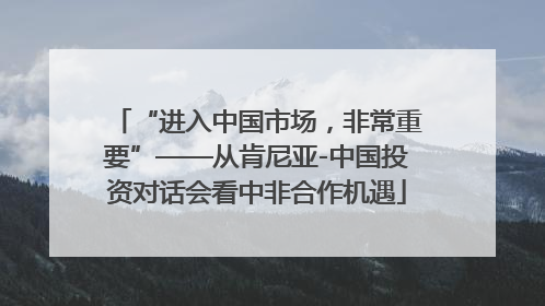 “进入中国市场，非常重要”——从肯尼亚-中国投资对话会看中非合作机遇