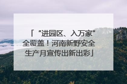 “进园区、入万家”全覆盖！河南新野安全生产月宣传出新出彩