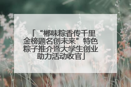 “郴味粽香传千里 金榜题名创未来”特色粽子推介暨大学生创业助力活动收官