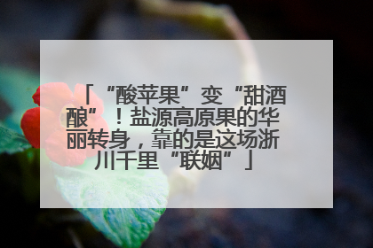 “酸苹果”变“甜酒酿”！盐源高原果的华丽转身，靠的是这场浙川千里“联姻”