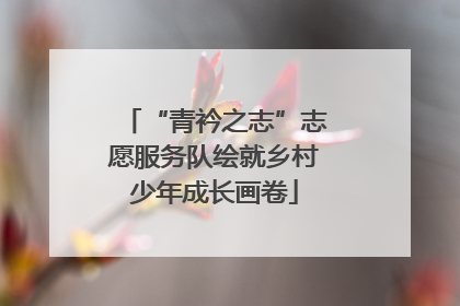 “青衿之志”志愿服务队绘就乡村少年成长画卷