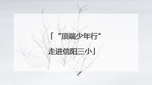 “顶端少年行”走进信阳三小