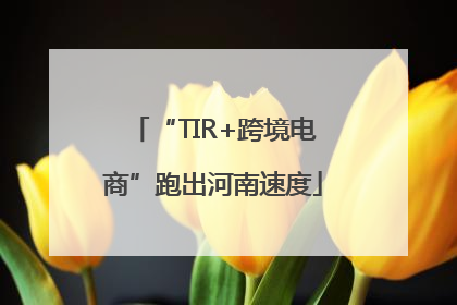 “TIR+跨境电商”跑出河南速度
