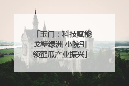 玉门：科技赋能戈壁绿洲 小院引领蜜瓜产业振兴