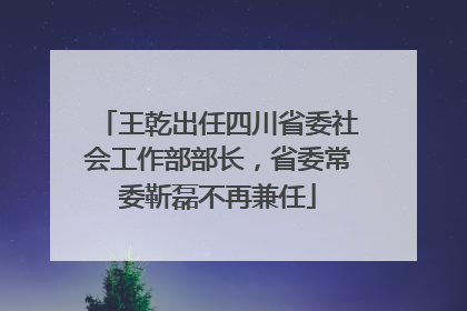 王乾出任四川省委社会工作部部长，省委常委靳磊不再兼任