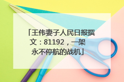 王伟妻子人民日报撰文：81192，一架永不停航的战机